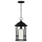 Quoizel Brampton 1-Light Matte Black Outdoor Hanging Lantern BRM1909MBK - alternate 1